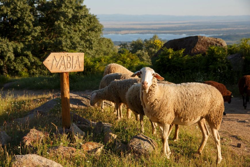 Comprometidos con el medio ambiente · Hotel Nabia · Ávila