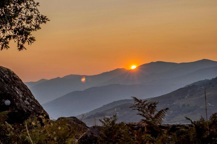 Montañismo y botánica en Gredos · Hotel Nabia · Ávila