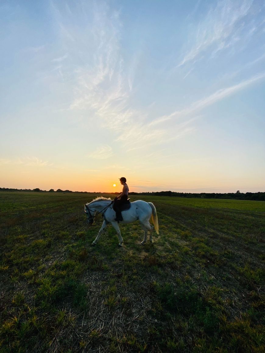 Rutas a Caballo · Hotel Nabia · Ávila